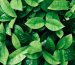 ting-wei-ALu2B7Vy7ao-unsplash-1-1.jpg